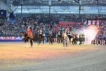 Cavalry - 00107